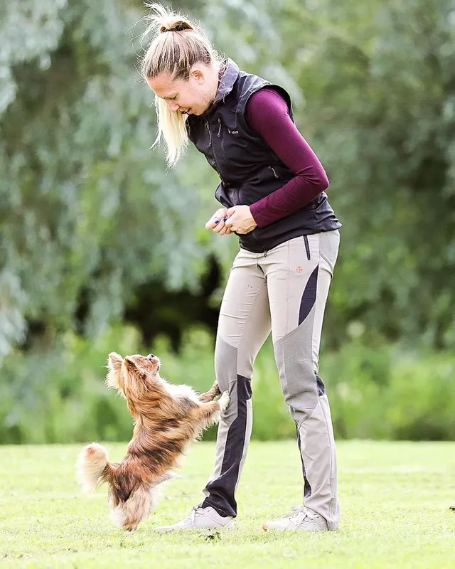 Womens dog training vest sales