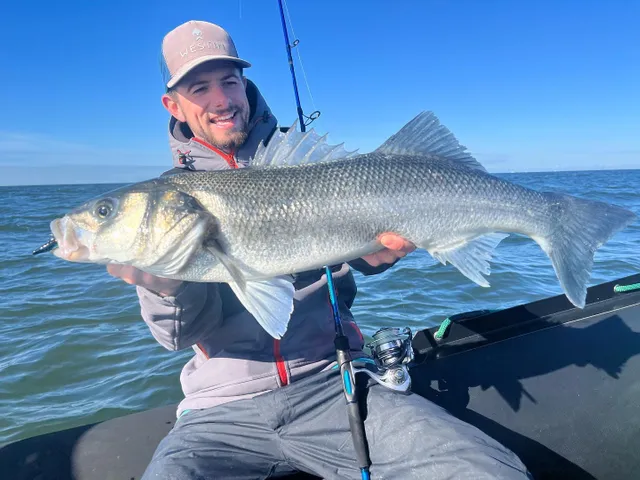 Zdjęcie użytkownika hippolyte_westinfishing opublikowane w dniu 18 czerwca 2024