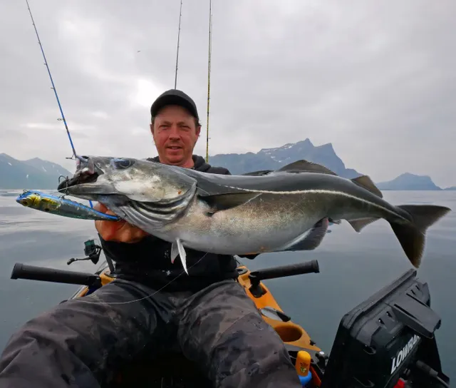 Zdjęcie użytkownika daniels_fishing_experience opublikowane w dniu 4 lipca 2024. Topwater fun with Coalfish in Norway‼️🤩♥️