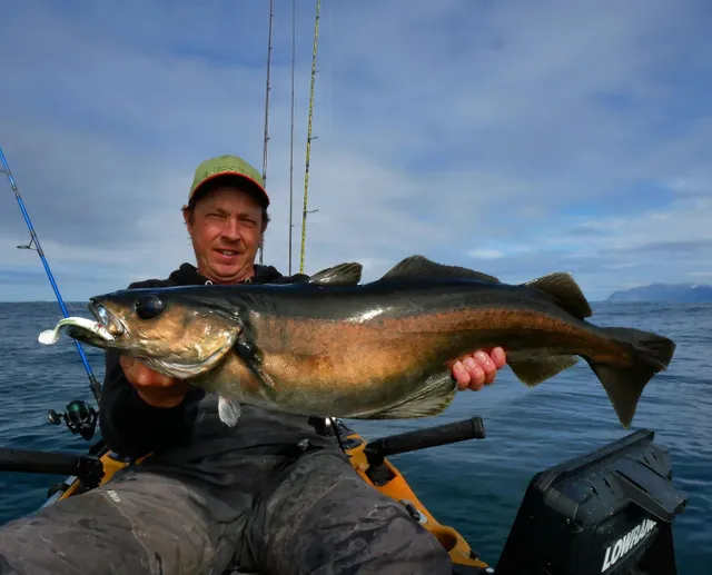 Zdjęcie użytkownika daniels_fishing_experience opublikowane w dniu 29 czerwca 2024
