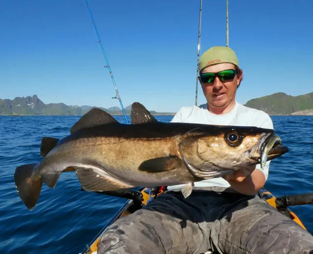 Zdjęcie użytkownika daniels_fishing_experience opublikowane w dniu 15 lipca 2024