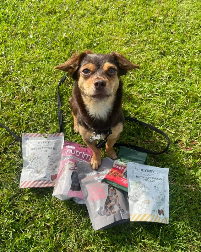 ItsyBitsy Freeze Dried Kylling til hund Musti