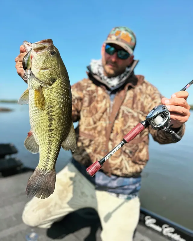 Rapala - The new Fiberglass Shad Rap travel rod is a great fun to use,  especially when fighting against aggressive species! @randyfishingofficial  🔥 #CountDownElite95 #Fishing #ClassicShadRapRod #Rapala