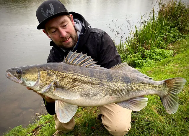 W2 PowerTeez - Cannes à Pêche en Eau Douce | Westin Fishing