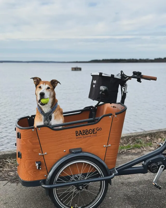 The cargo bike for everyone Babboe