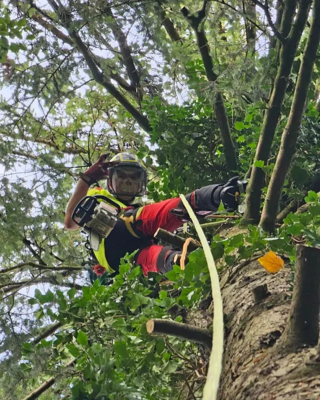 Protection pour la tête combinée Protos Integral Arborist orange-jaune néon