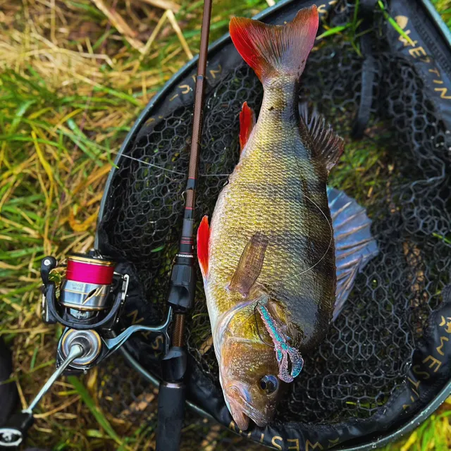 W3 CR Adjustable Landing Net M  SNECI - Horgász webshop és