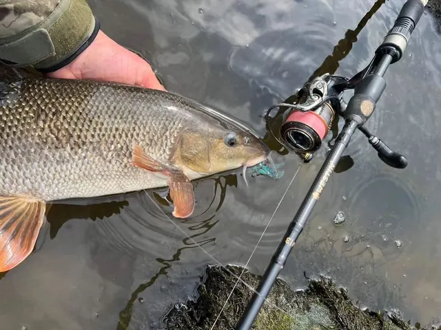 Mikolas gets reel on fishing trip