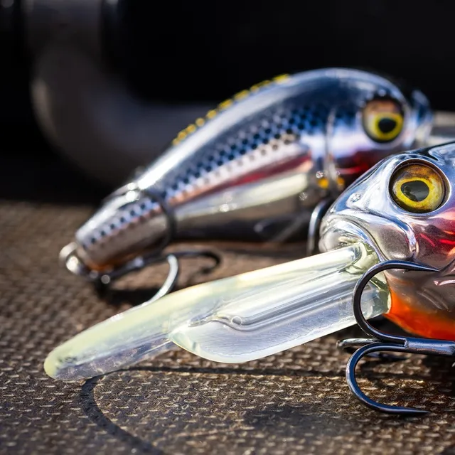 4 Of The Best Fishing Lures for Fresh Water Fishing - NE Fishing