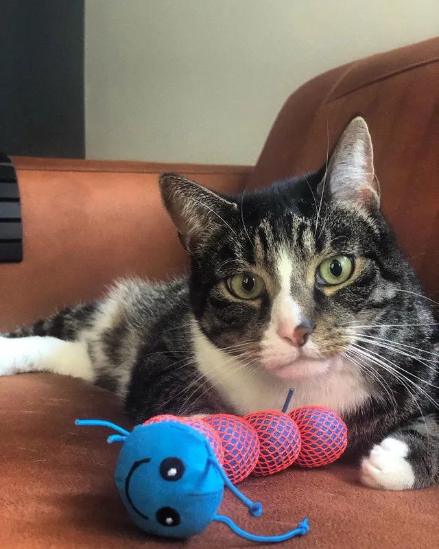 Diazepam England Rezeptfrei