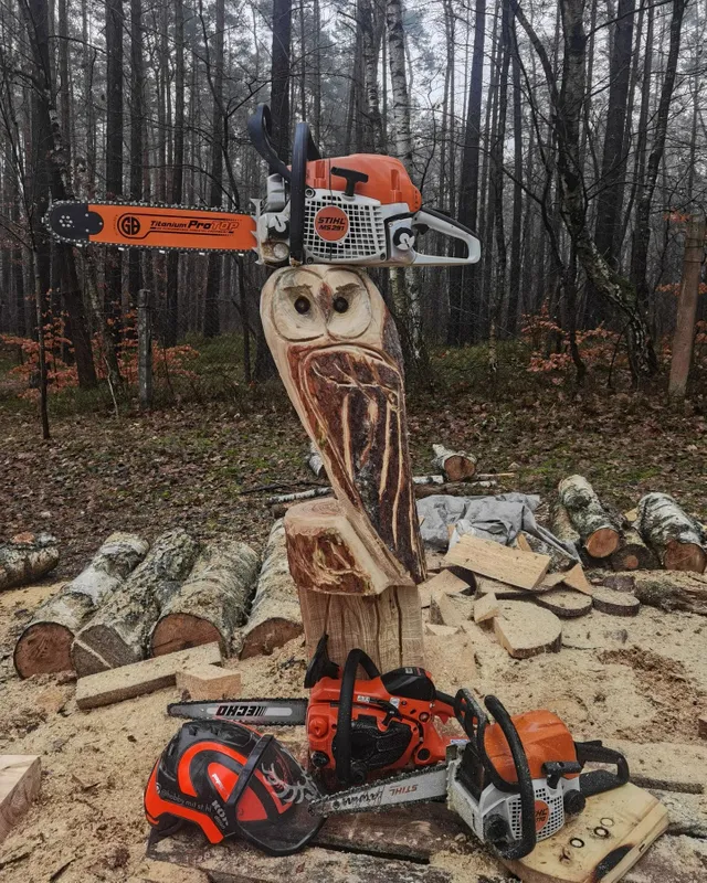 Echo 362 store chainsaw