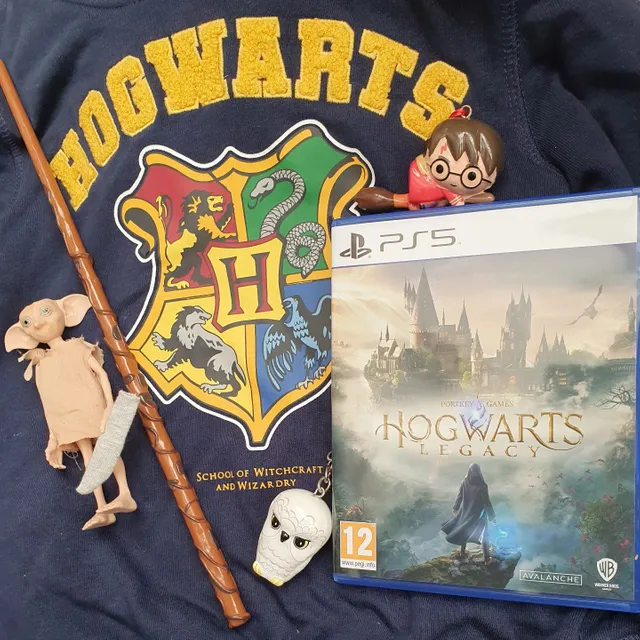 Hogwarts Legacy PS4 - Videogames - Sagrada Família, Belo Horizonte  1258568789