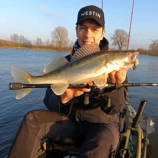 W3 Finesse-T T&C 2nd - Freshwater Rods | Westin Fishing
