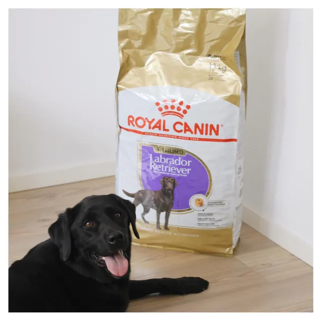 Royal canin best sale labrador sterilized