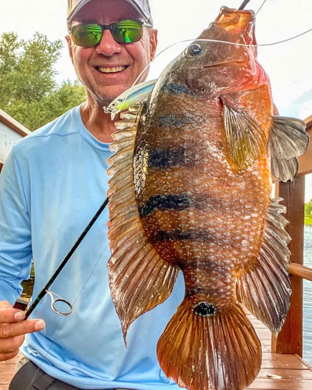 Photo by marksgonefishing published at September 17, 2020