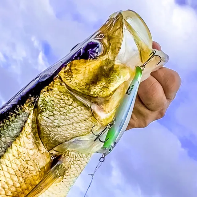 Photo by marksgonefishing published at September 23, 2020