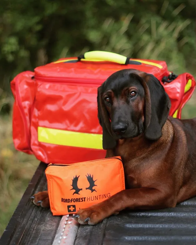 Trousse de premier secours Nordforest pour chiens de chasse