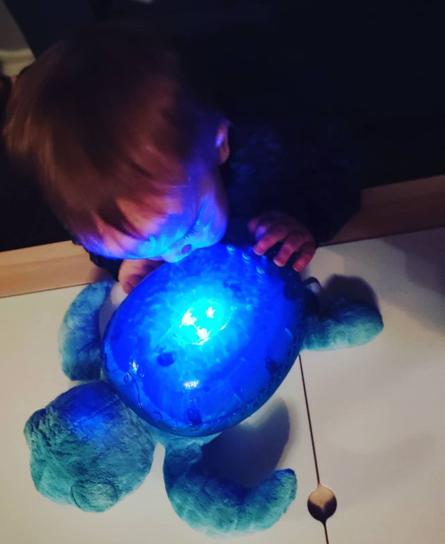 Veilleuse Projection Musicale Tortue Des Mers Aqua Cloud B Pour Enfant Des La Naissance Oxybul Eveil Et Jeux