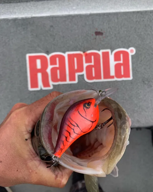 RAPALA- RCD LLAVERO RETRACTIL 360* CAB LE 70cm TRANSPARENTE