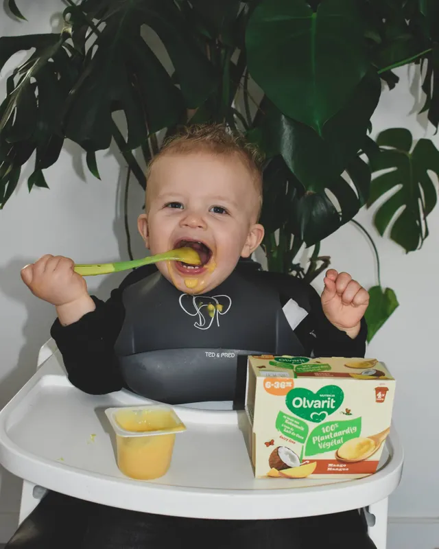 Alimentation Pour Bebe De 8 A 11 Mois