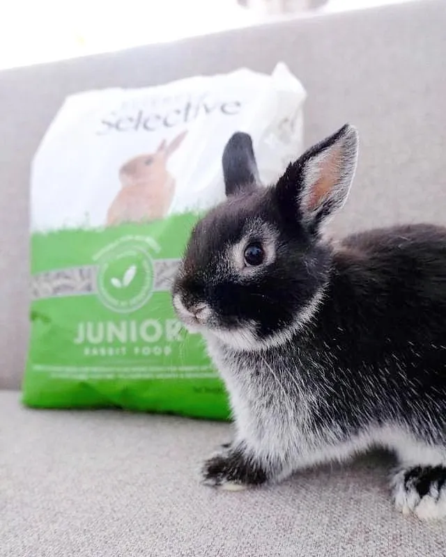 Verschuiving Gestaag Hoofdkwartier Supreme Science Selective Rabbit Junior - Konijnenvoer