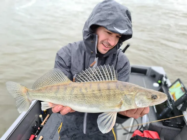 Foto skapad av westinfishing_germany publicerad 31 maj 2022