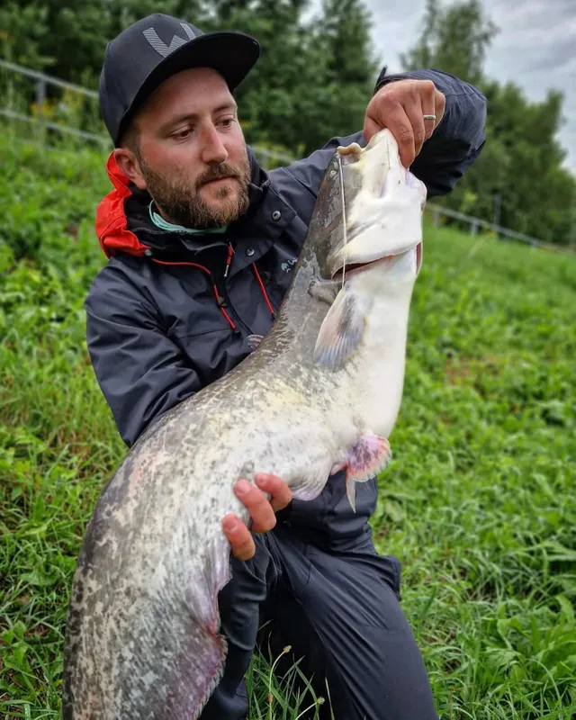 Foto skapad av pavel_vyskocil publicerad 5 juli 2022