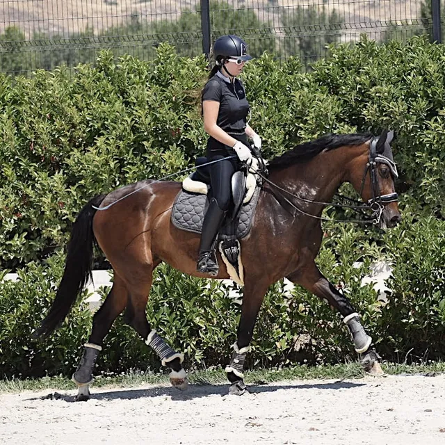 Saddle Pad Imperial Riding IRHLovely Dressage Brown - Epplejeck