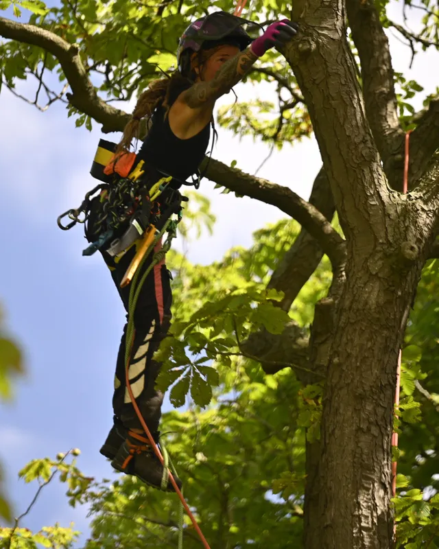 Protection pour la tête combinée Protos Integral Arborist orange-jaune néon