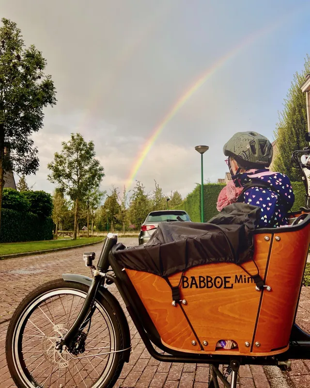 Bâche de protection pour vélo cargo Babboe City / Carve