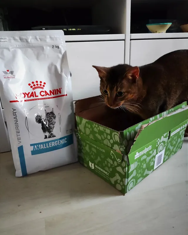 Royal Canin Anallergenic Kat | Katten Bestellen