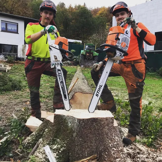 MOTOSEGA STIHL MS 881