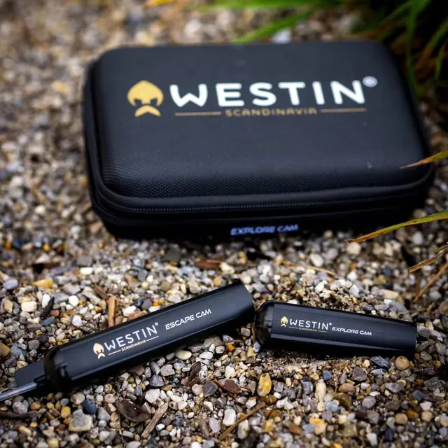 Foto veröffentlicht am 10. Oktober 2024