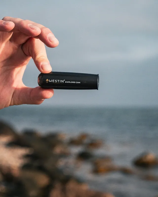 Foto veröffentlicht am 10. Oktober 2024