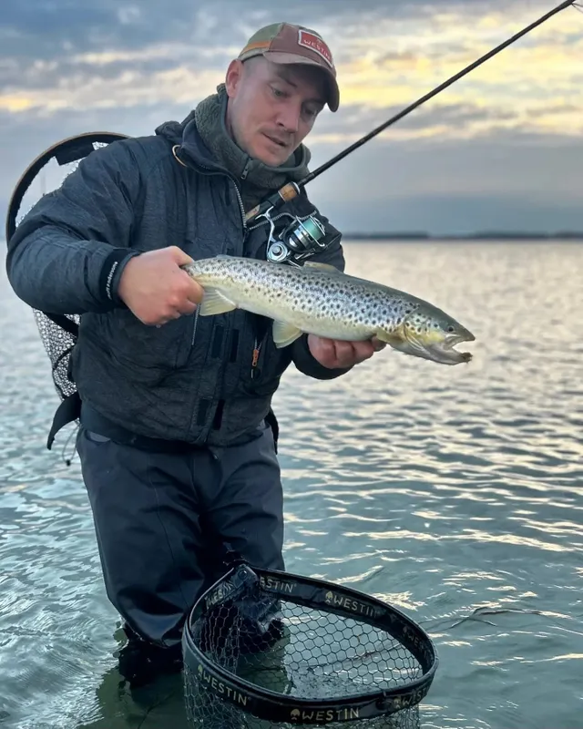 Épuisette Télescopique Westin W6 C&R Pour La Pêche Aux Carnassiers - 5m