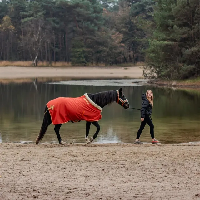 Zweetdeken Horsegear Lyx Middenoranje - Epplejeck
