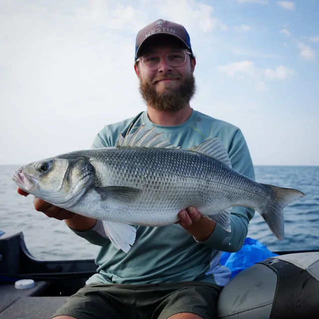 Zdjęcie użytkownika nicklas_fishing_europe opublikowane w dniu 23 grudnia 2024