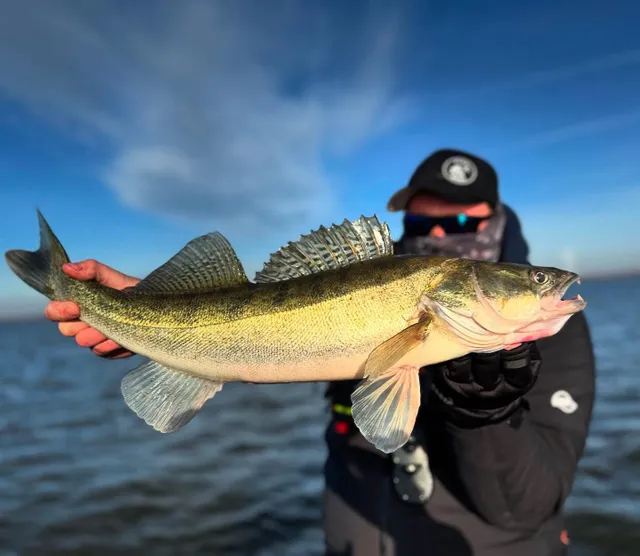 Foto skapad av pike_bros_fishing_club publicerad 2 januari 2025. Frohes Neues Jahr!