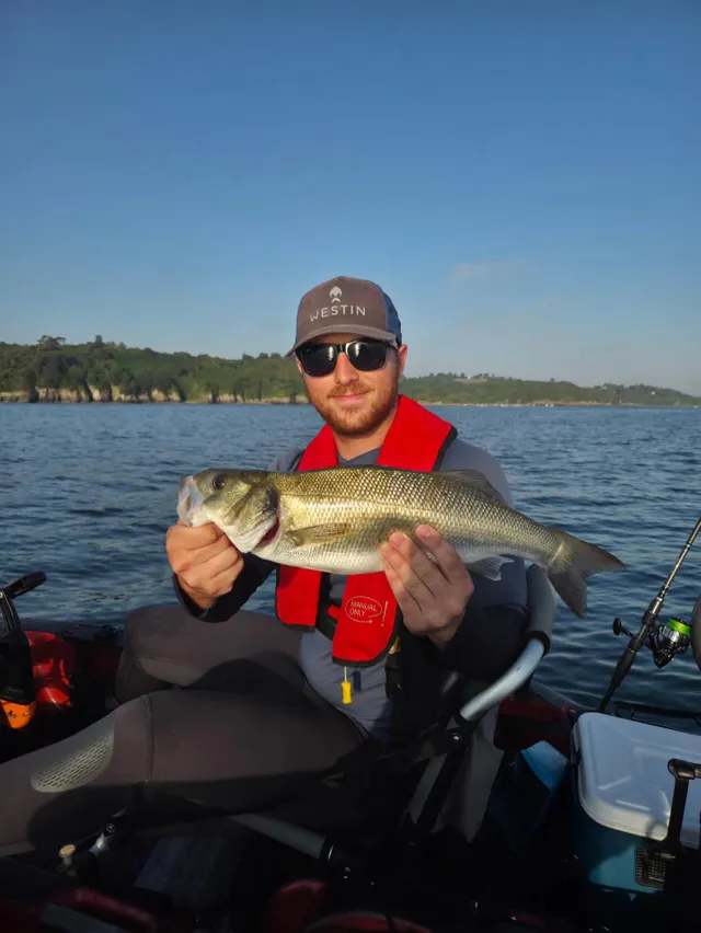 WESTIN Sandy Andy Weedless Jig Affondante Gr.2 10cm 16g