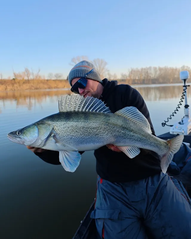Leurre Souple Westin Bullteez Shadtail 12,5cm - Leurre de la pêche