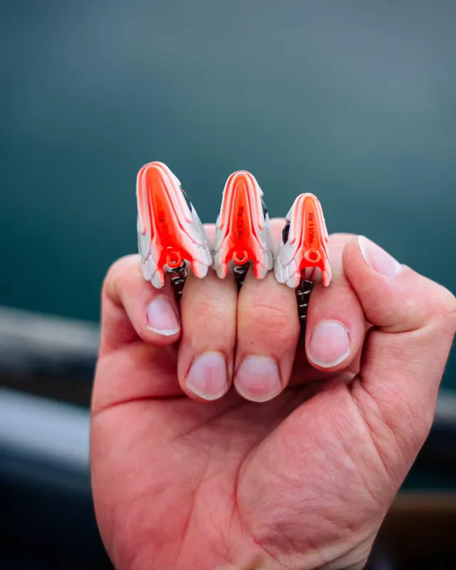 ShadTeez ScrewIn Head - Freshwater Lures | Westin Fishing