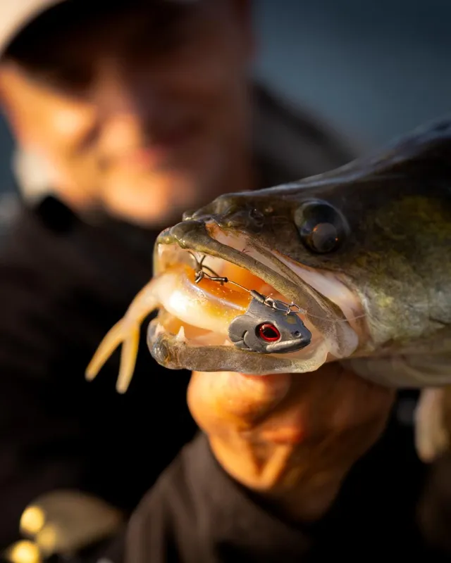 ShadTeez ScrewIn Head - Freshwater Lures | Westin Fishing