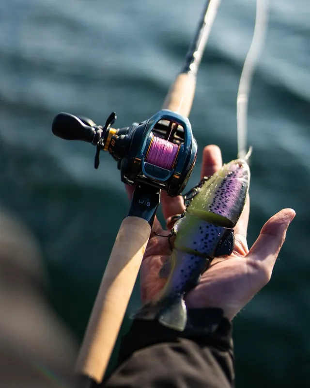 W8 Monsterstick-T - Freshwater Rods | Westin Fishing