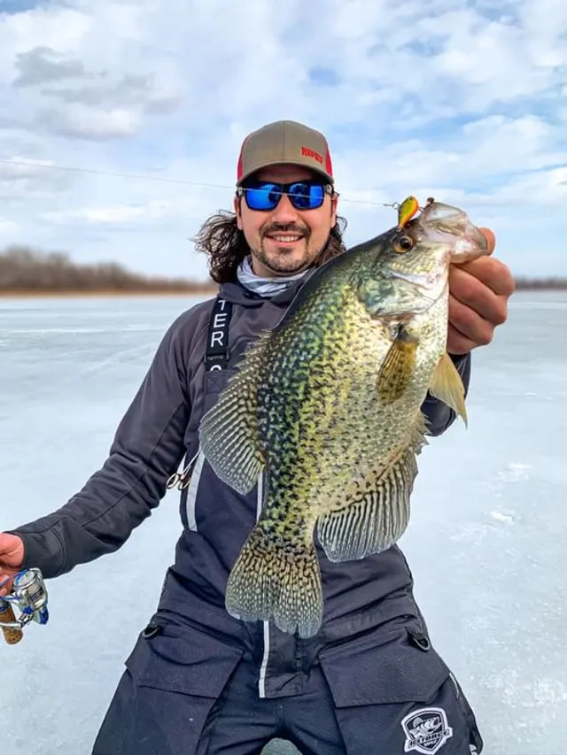 Photo by Rapala published at 8 March 2021. Late ice can be your best bet for a BIG Crappie under the ice!